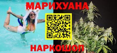 сатива Конаково