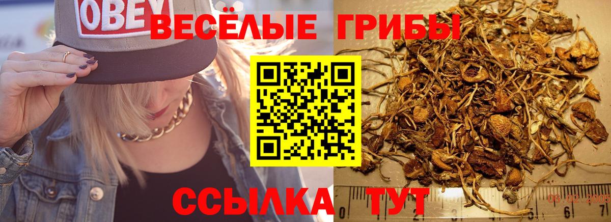 Галлюциногенные грибы мицелий Геленджик