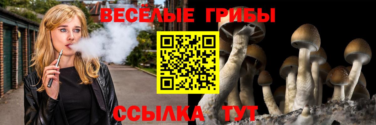 Псилоцибиновые грибы MAGIC MUSHROOMS  Вход с VPN  Галлюциногенные грибы Psilocybe  Геленджик 
